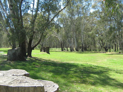 Rivergum Holiday Park - Australian Directory 2