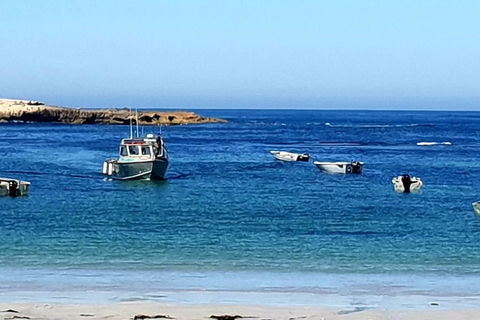 Rocks Retreat Cabin 3 - Lobster - Australian Directory 2