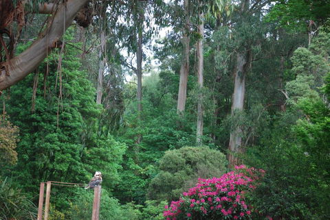 Rocky Creek Art Garden B&B - Australian Directory 2
