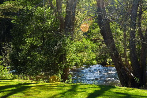 Russell Falls Holiday Cottages - Australian Directory 2