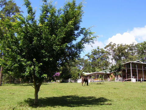Sapphire Beach Acreage - Australian Directory 1