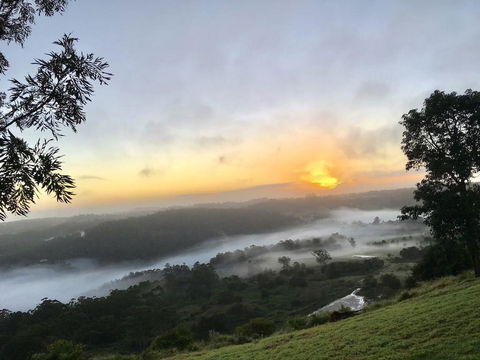 Scandinavian Cabin - Maleny - One Bedroom - Australian Directory 2