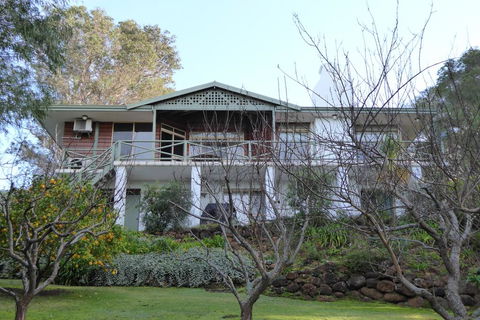Sea Banksia - Australian Directory 0