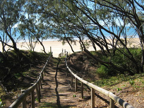 SeaEagles Beach Resort - Australian Directory 2