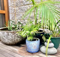SEAeSCAPE Apollo Bay - Australian Directory