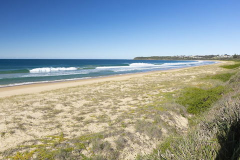 Seashells Beachfront Resort - Australian Directory 2