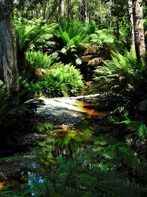 Shakespeare's Wilderness Chalet - Australian Directory 3