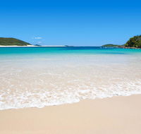 Shells on the Shore Holiday Accomm - Dolphins - Australian Directory