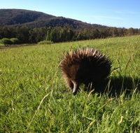 Silver Ridge Retreat - Australian Directory