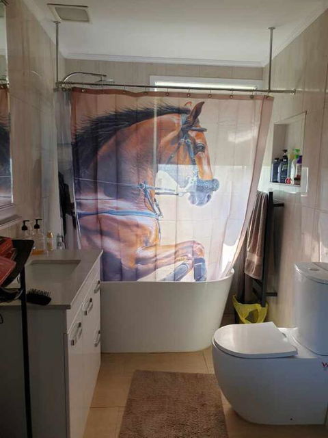 Silverbirch Cottage - Australian Directory 3