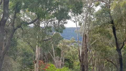 Six Seasons - Halls Gap - Australian Directory 3
