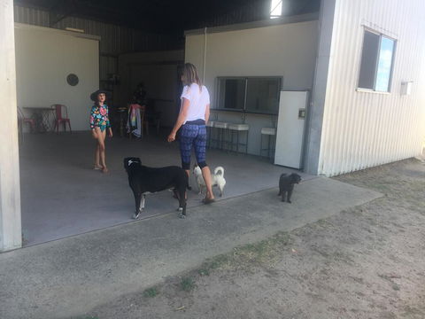 Something Different - Australian Directory 2