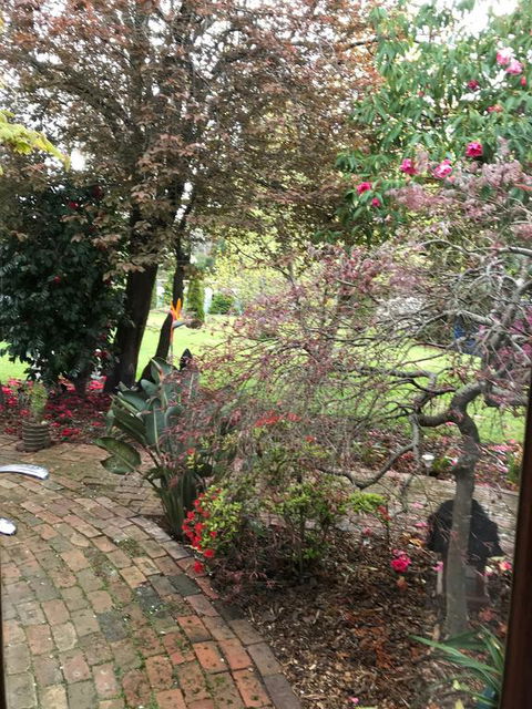 Stony Rise Cottage B&B - Australian Directory 1