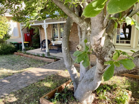 SUMMER HOUSE - CENTRAL LOCATION Near PARK - Australian Directory 0