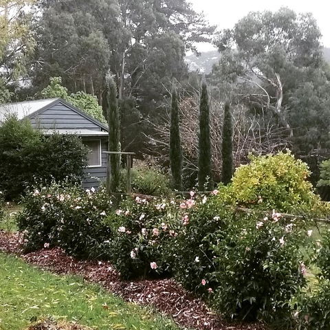 Summerhill Farm B&B - Australian Directory 3