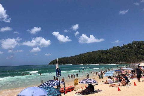 Sunshine Coast Cottage - Australian Directory 3