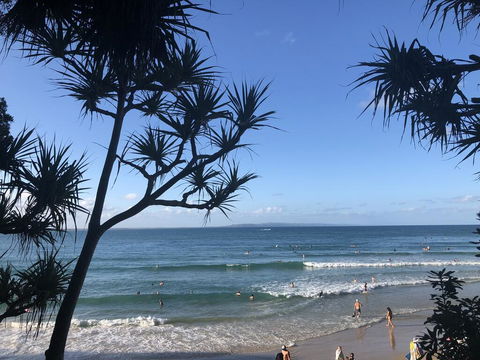 Sunshine Coast Cottage - Australian Directory 1