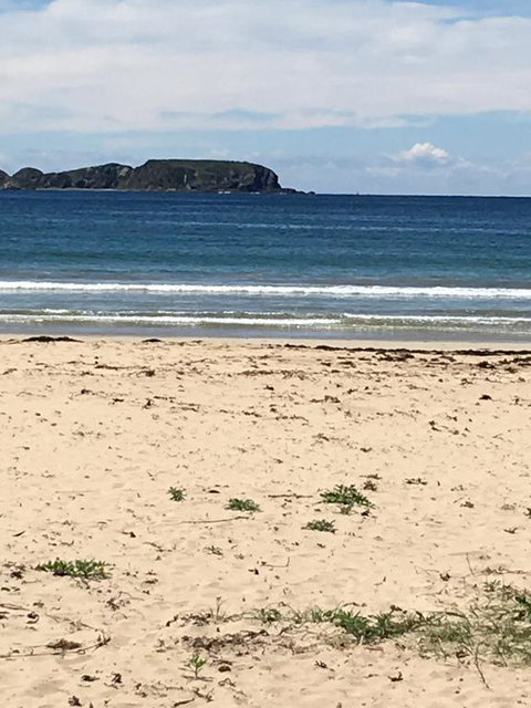 Surf Beach Holiday - Australian Directory 0