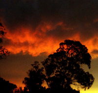 Taits Place Vineyard B  B - Australian Directory