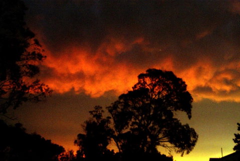 Taits Place Vineyard B & B - Australian Directory 0