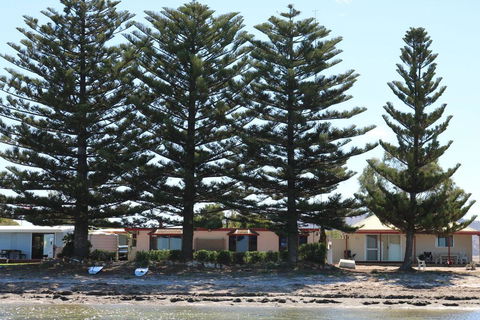 Tall Pines Beach House At Mount Dutton Bay (part Of Coffin Bay Waterways) - Australian Directory 1