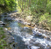 Tallaringa Views - Australian Directory
