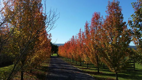 Tamar Valley Farm Stay - Australian Directory 3
