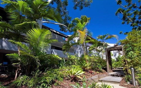 Tea Trees 6 - Australian Directory 2
