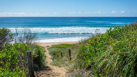 The Art House - Australian Directory 2