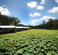 The Boathouses at Leaves  Fishes - Australian Directory