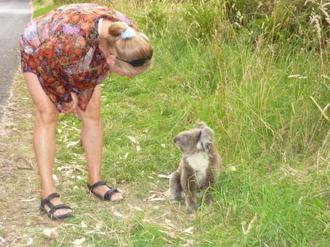 The Boomerangs At Johanna - Australian Directory 3