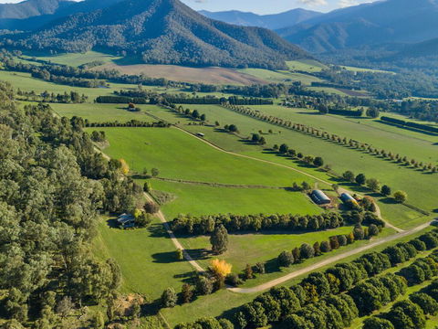 The Buckland Studios - Australian Directory 3