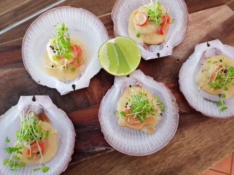 Codie's Place - Australian Directory 1