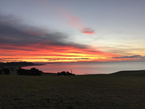 The Cove Tasmania - Australian Directory 1