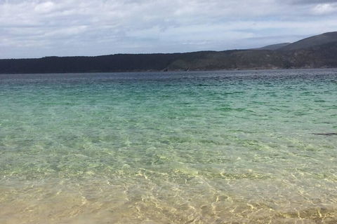 The Cove... On The Rocks At Port Arthur - Australian Directory 1