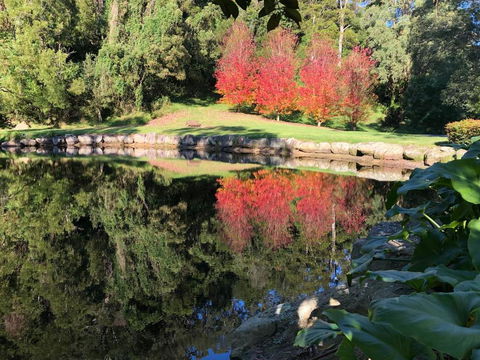 The Drawing Rooms Of Berry - Australian Directory 2