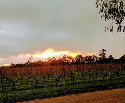 The Grove Distillery & Brewery - Australian Directory 2