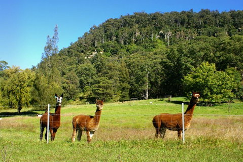 The Heavens Mountain Escape - Australian Directory 2