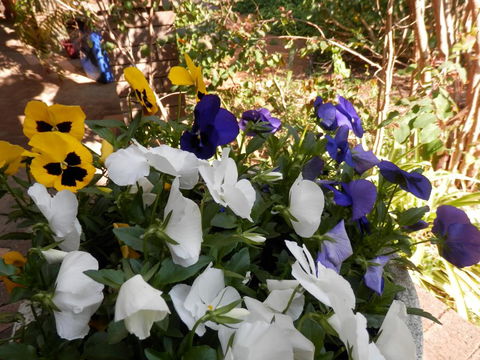 The Hideaway Luxury B&B Retreat - Australian Directory 1