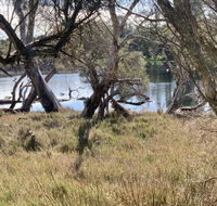 The Lake House - Australian Directory