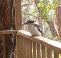 The Ledge Holiday House - Australian Directory