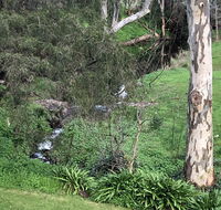 The Miners Cottage Barossa - Australian Directory