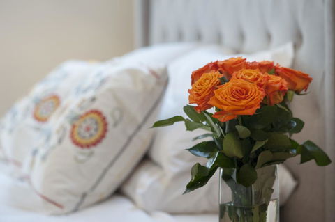 The Nest At Gundaroo - Australian Directory 1