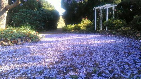The Old Church Bed And Breakfast - Australian Directory 2