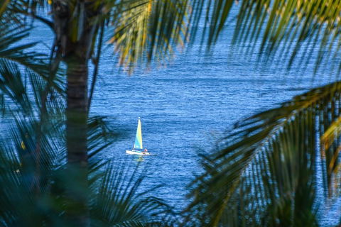 The Palms On Hamilton Island - Australian Directory 2