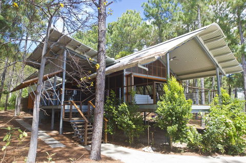 The Pines - Australian Directory 0