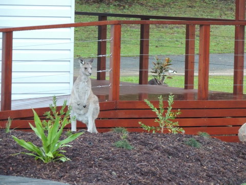 The Pouch B & B - Australian Directory 1
