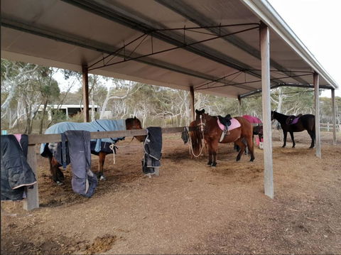 The Saddle Camp Tiny House, Braidwood - Australian Directory 1