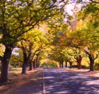 The Shelter Shed Garden Studio Apartment - Australian Directory