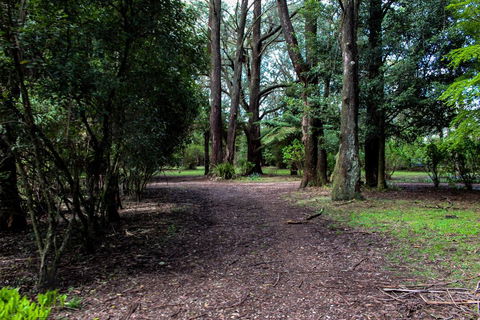 Tomah Retreat - Relax & Heal At UNWIND - Australian Directory 1